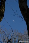 IMG 6824-1