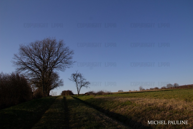 IMG 7735-1