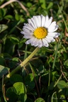 IMG 7347-1