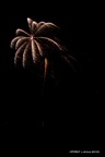 IMG 4784
