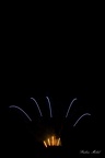 IMG 9262-1