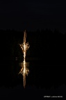 IMG 6599-1